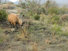 Suedafrika (298)